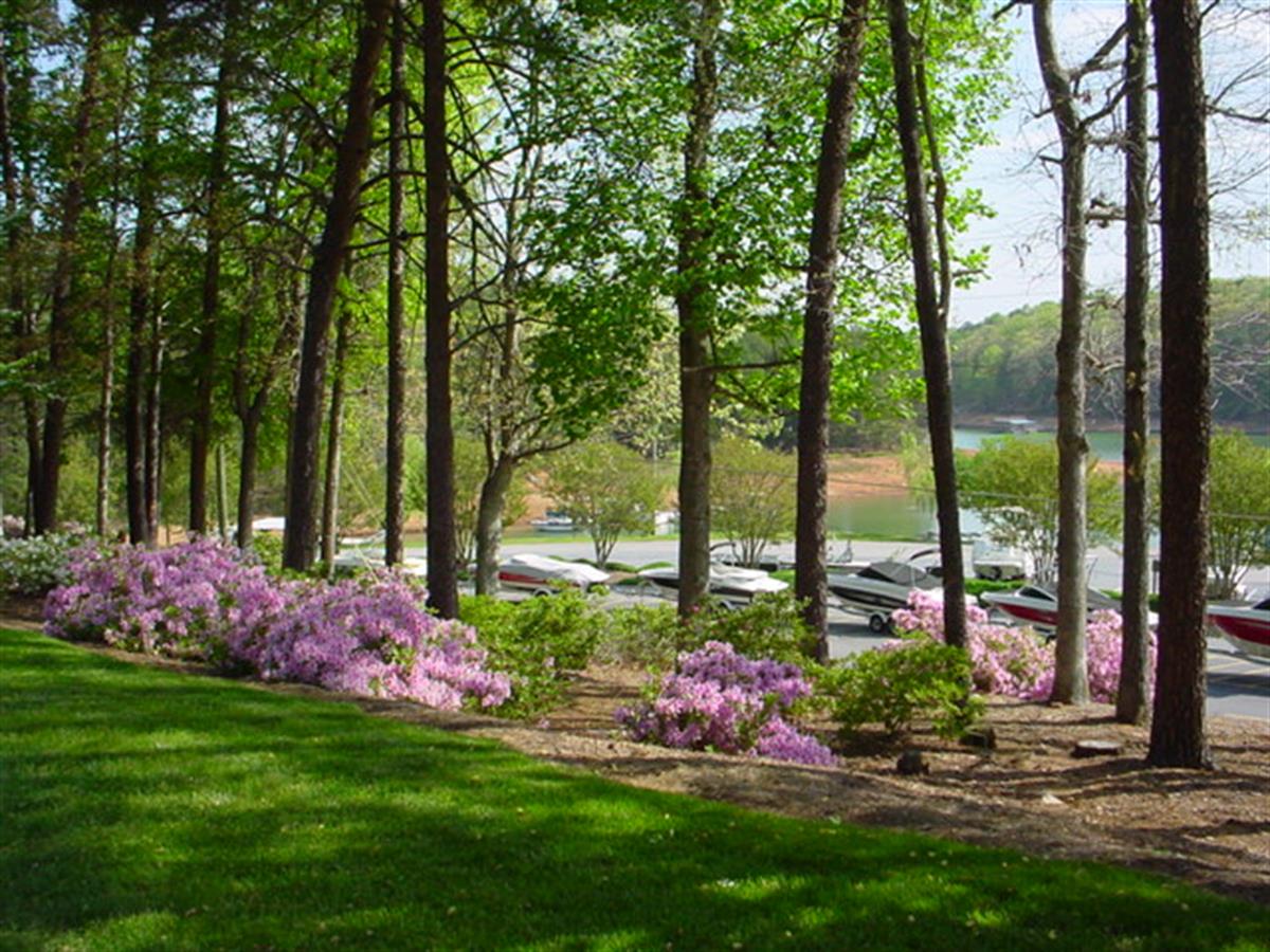 The grounds at Bald Ridge Marina in spring
